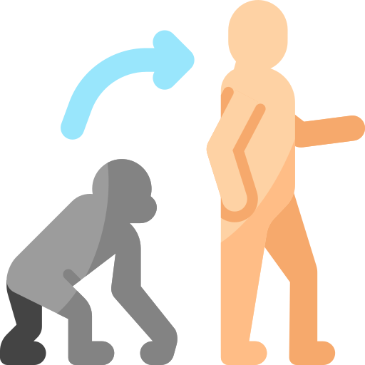 Evolution Icon