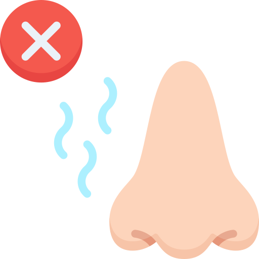 Loss of Sense of Smell Icon